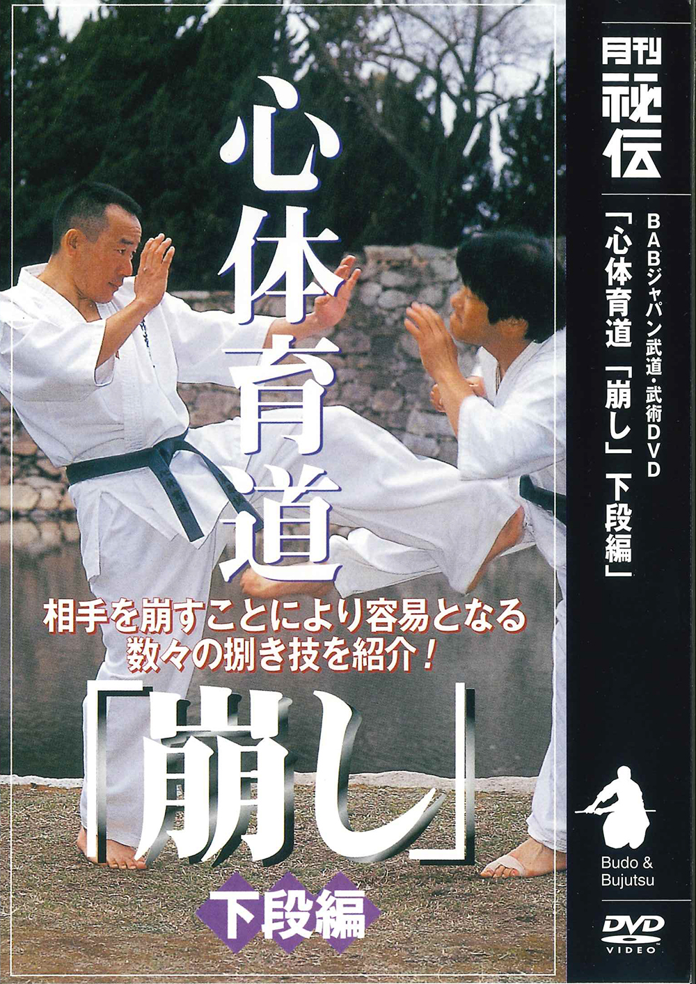 DVD　心体育道「崩し」 下段編