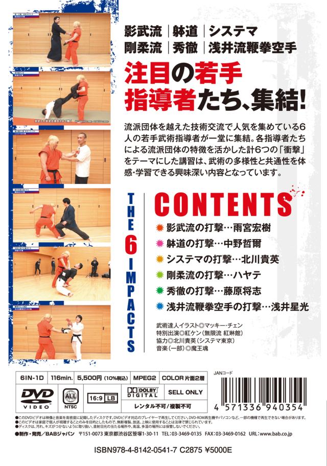 DVD 意拳 六大秘訣 第6巻