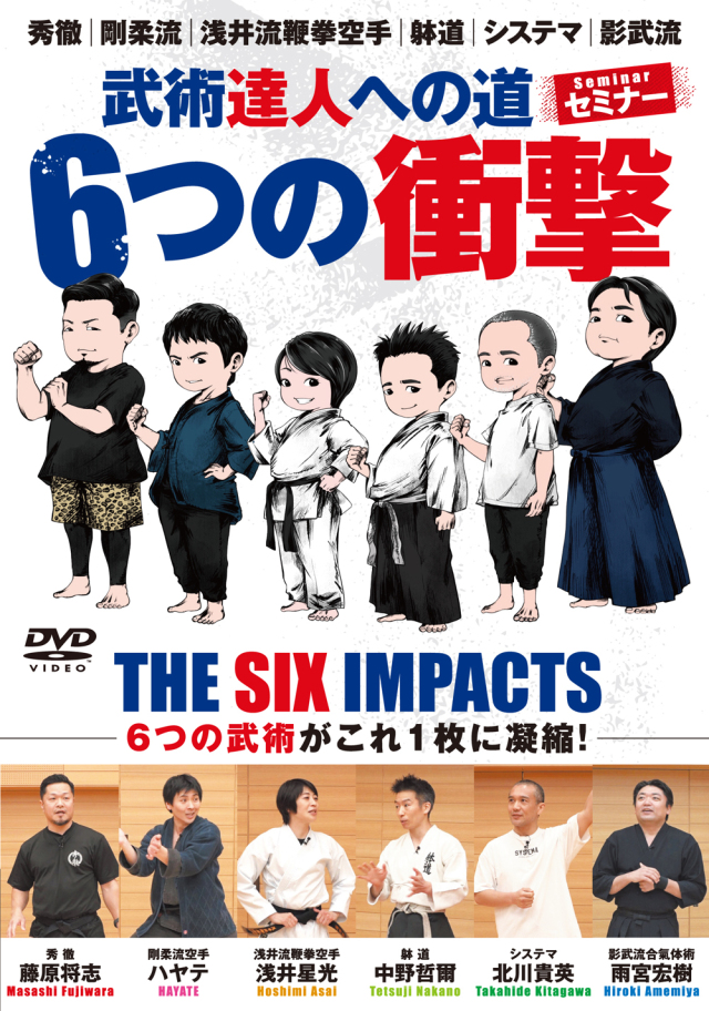 DVD 意拳 六大秘訣 第6巻