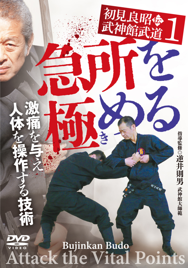 DVD 急所を極める