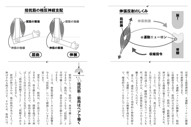 書籍 反射が生む達人の運動学