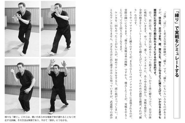 岩間統正先生　大気拳　ビデオ Amazon.co.jp: 太気至誠拳法 岩間統正 神技！太気拳 第1巻 入門