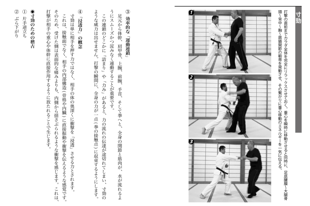 武道・武術のための靭トレ 〜達人力を作る〜