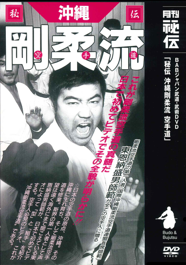 DVD　秘伝 沖縄剛柔流空手道