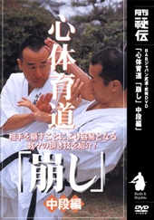 心体育道「崩し」シリーズ　中段編（DVD)