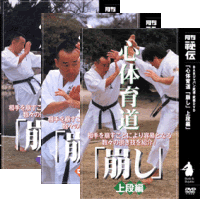 DVD3巻セット 『心体育道「崩し」』（通販限定）