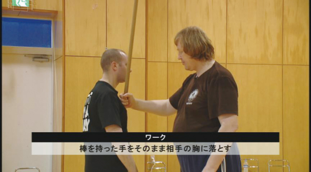 システマ　DVD まとめ売り　21枚　Systema snstema バラ売り可 システマ DVD まとめ売り 21枚 Systema snstema バラ売り可