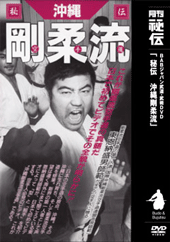 秘伝！沖縄剛柔流空手道（DVD)