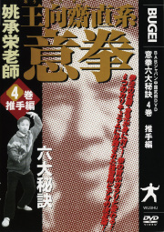 DVD　意拳 六大秘訣 第4巻