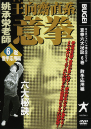 DVD　意拳 六大秘訣 第6巻