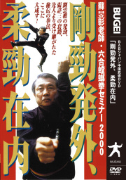 DVD　剛勁発外、柔勁在内