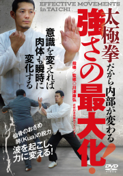 DVD 太極拳