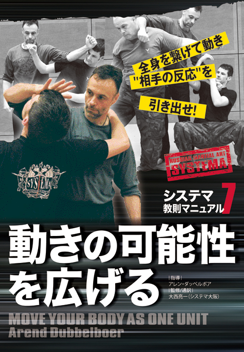 DVD システマ スティック・ワーク