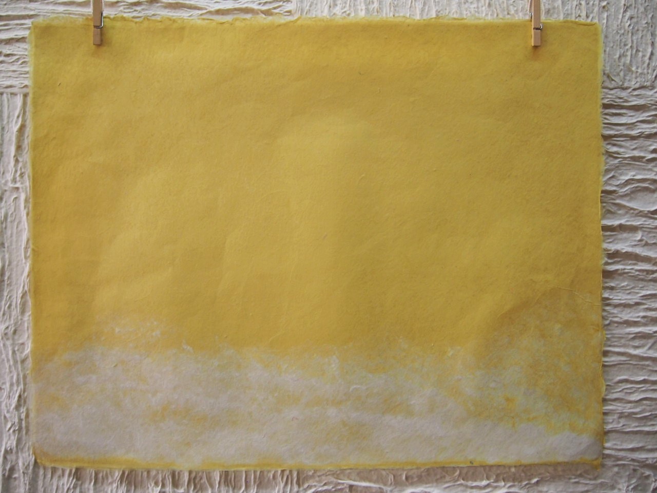 P10号　工芸紙　小鮒草