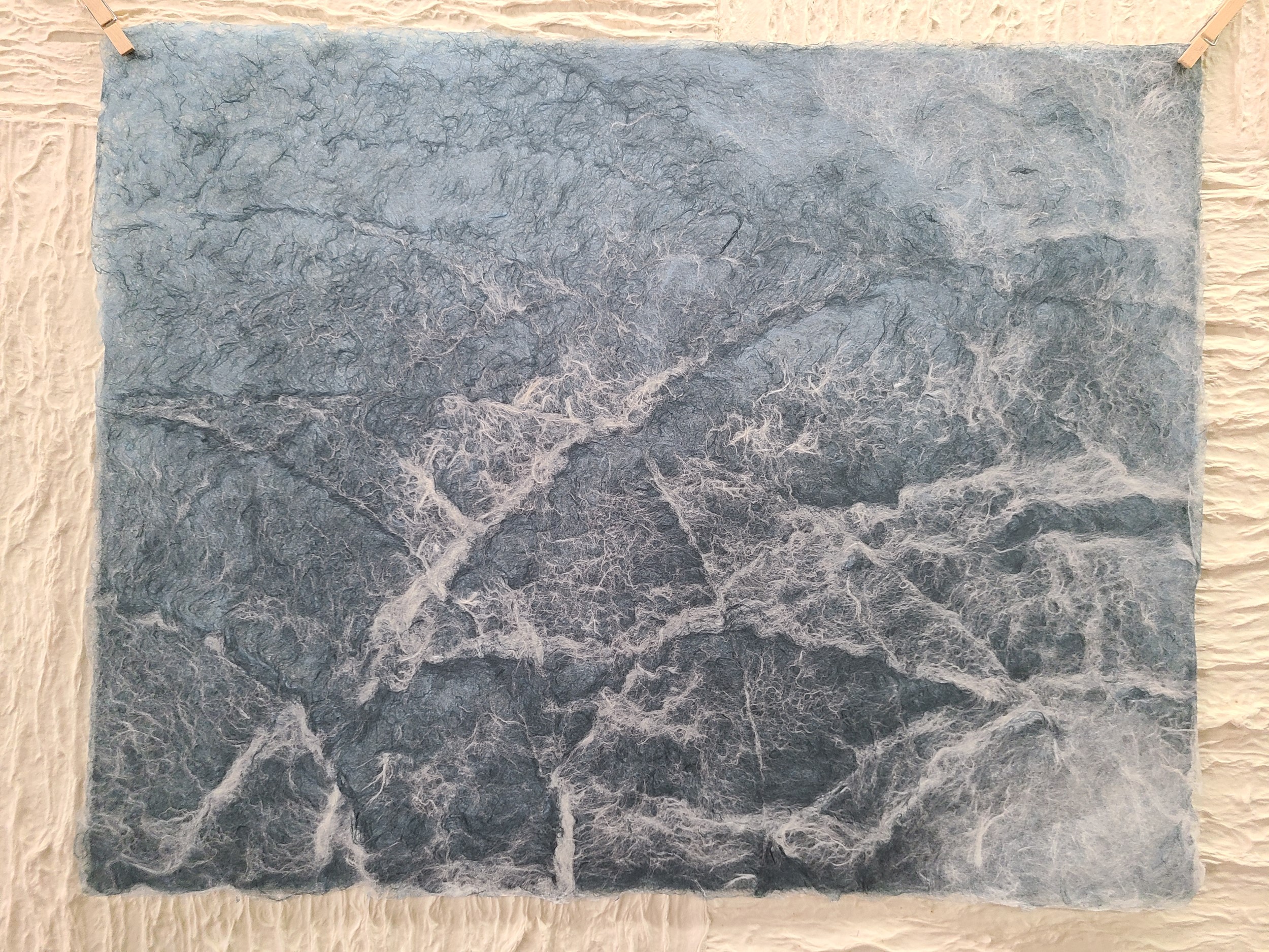 草木染め ロッグウッド1