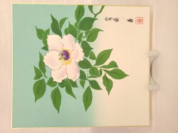 色紙　山芍薬