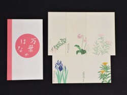 万葉のはなピンク