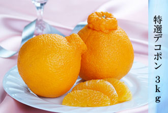 特選デコポン