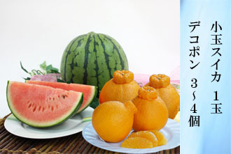 小玉スイカ 1玉・デコポン3-4個