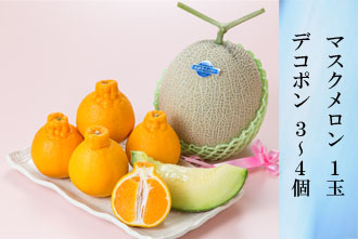 マスクメロン 1玉・デコポン 3-4個