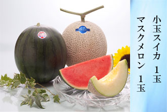 小玉スイカ 1玉・マスクメロン 1玉