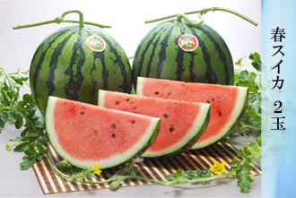 スイカ  2玉