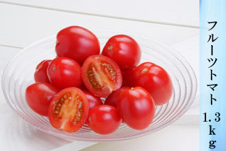 フルーツトマト 1.3kg