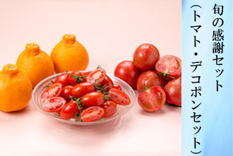 旬の感謝セット（トマト・デコポンセット）
