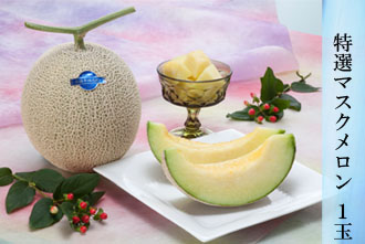 特選マスクメロン 1玉