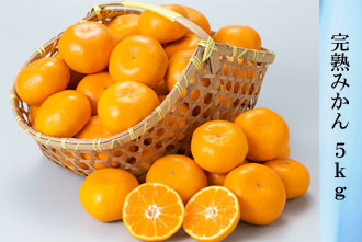 完熟みかん 5kg