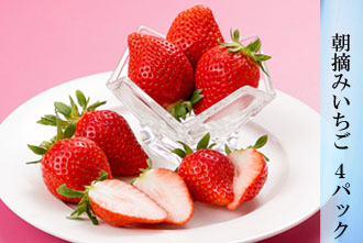 朝摘みいちご 4パック