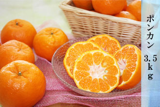 ポンカン 3.5kg