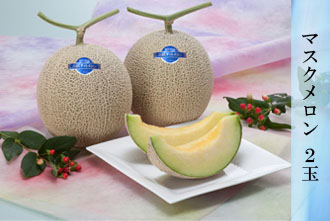 マスクメロン 2玉