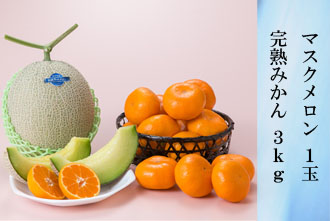 マスクメロン 1玉・完熟みかん 3kg