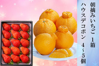 朝摘みいちご 1箱・デコポン 4-5個