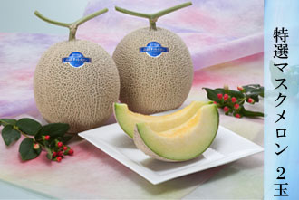 特選マスクメロン 2玉