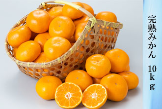 完熟みかん 10kg