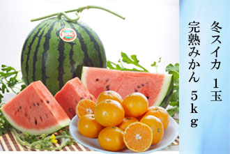 スイカ 1玉・完熟みかん 5kg