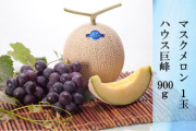 マスクメロン 1玉・ハウス巨峰 900g