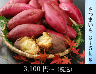さつまいも