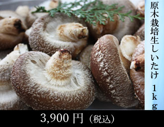 ヒノヒカリ特別栽培米