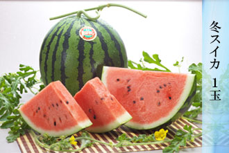スイカ 1玉
