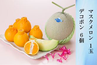 マスクメロン 1玉・デコポン6個