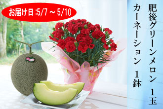 肥後グリーンメロン 1玉・カーネーション（赤色） 1鉢