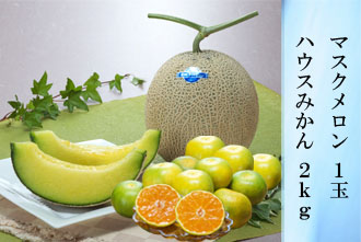 マスクメロン 1玉・ハウスみかん 2kg
