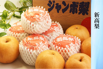 新高梨