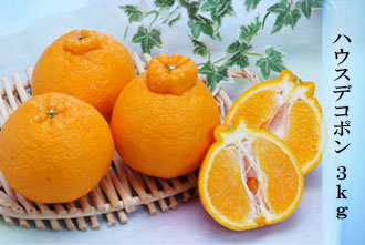 ハウスデコポン