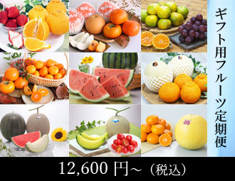フルーツ定期便（単品）