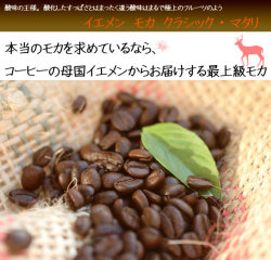 イエメン　モカ　クラシック・マタリコーヒー