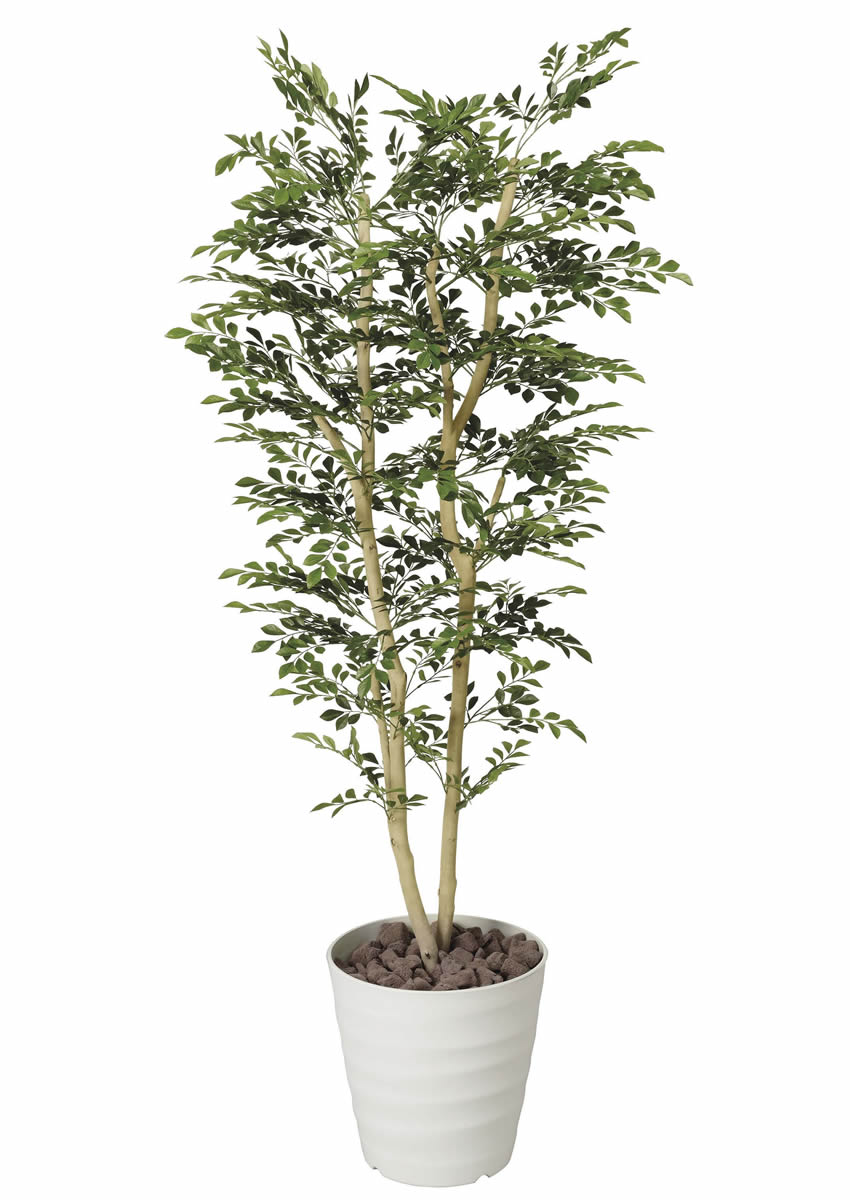 光触媒　人工観葉植物　人工観葉植物　フェイクグリーン　トネリコ1.8m 光触媒 光の楽園 トネリコ 1.8m【インテリア フェイクグリーン 人工